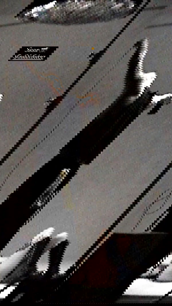 nikkibitez nikkibitez archive image