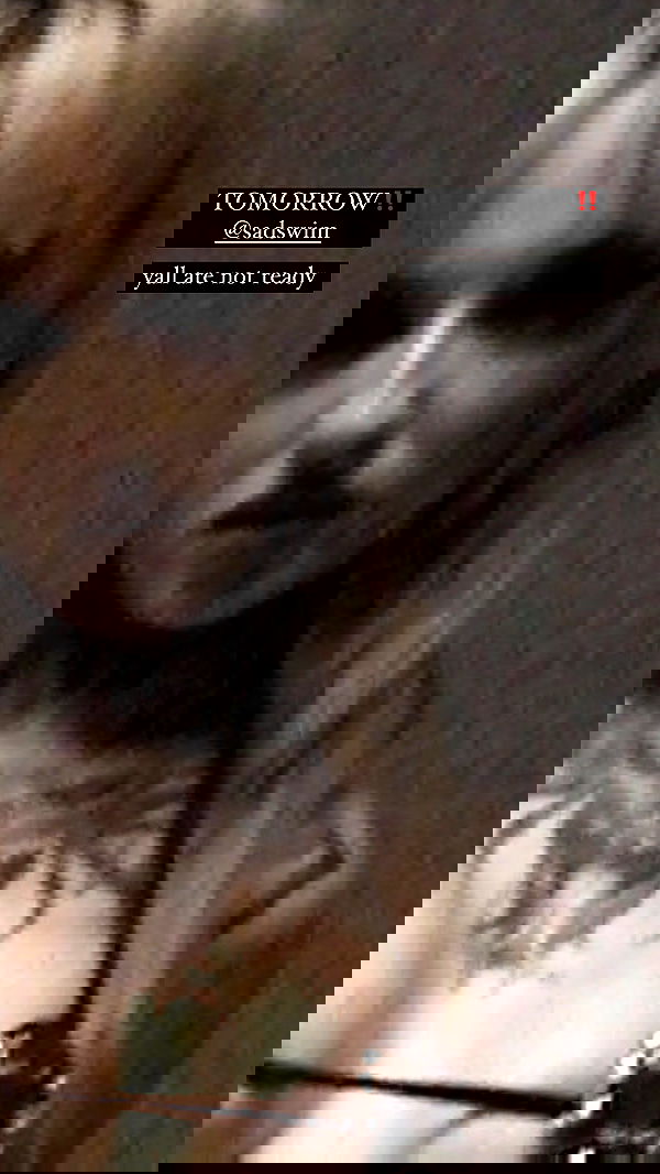 nikkibitez nikkibitez archive image