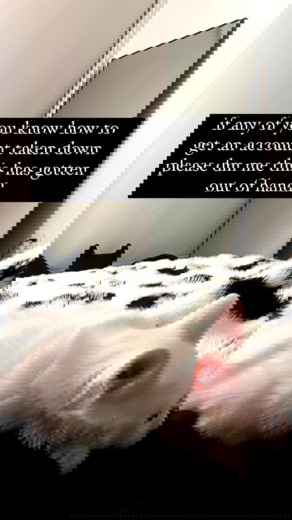 nikkibitez nikkibitez archive image