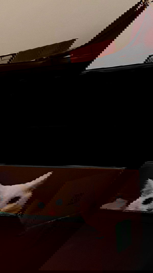 nikkibitez nikkibitez archive image