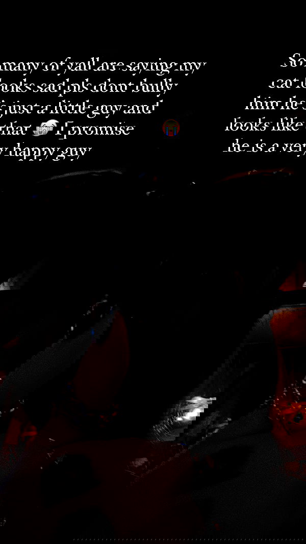 nikkibitez nikkibitez archive image