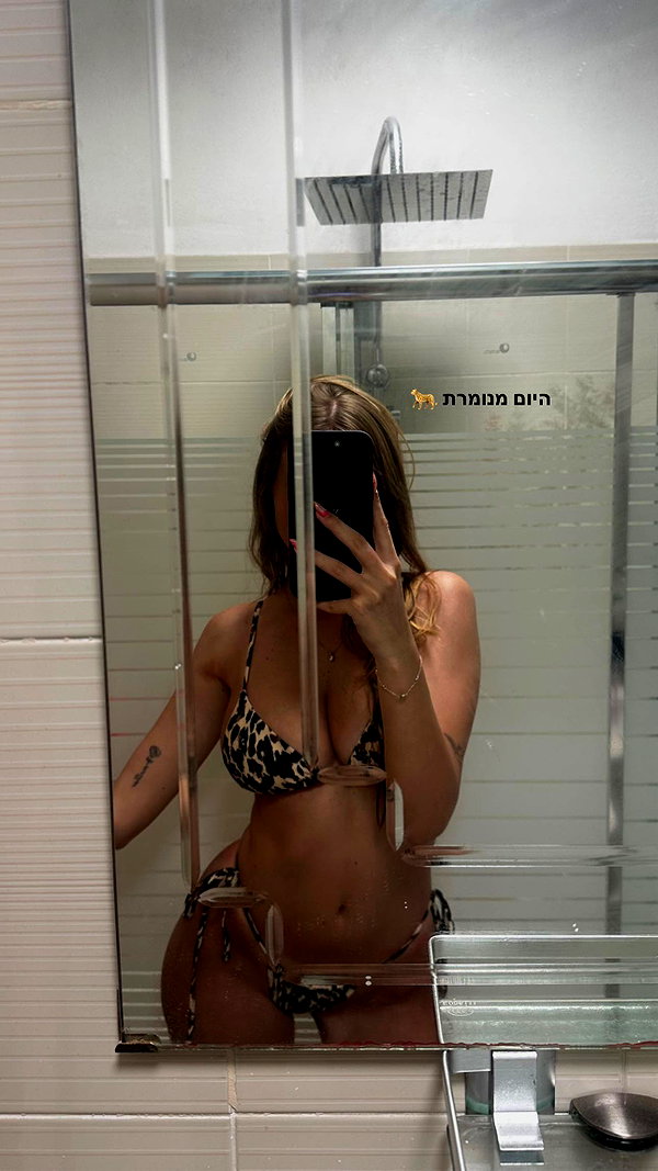 nikol.shishak nikol.shishak archive image