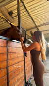 nikol.shishak Altpins Profile Picture