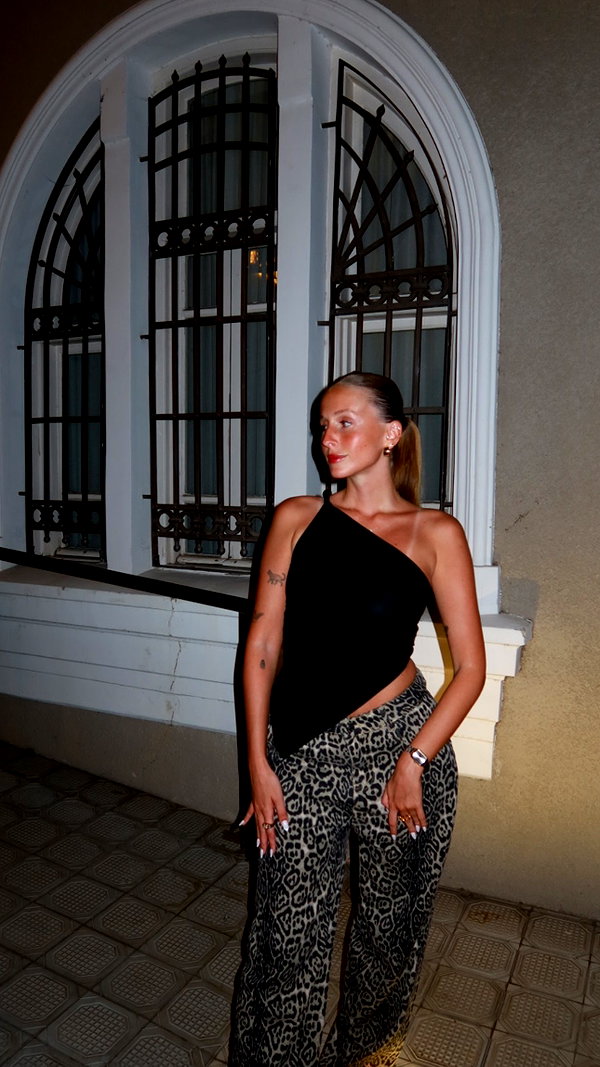 nikol.shishak nikol.shishak archive image