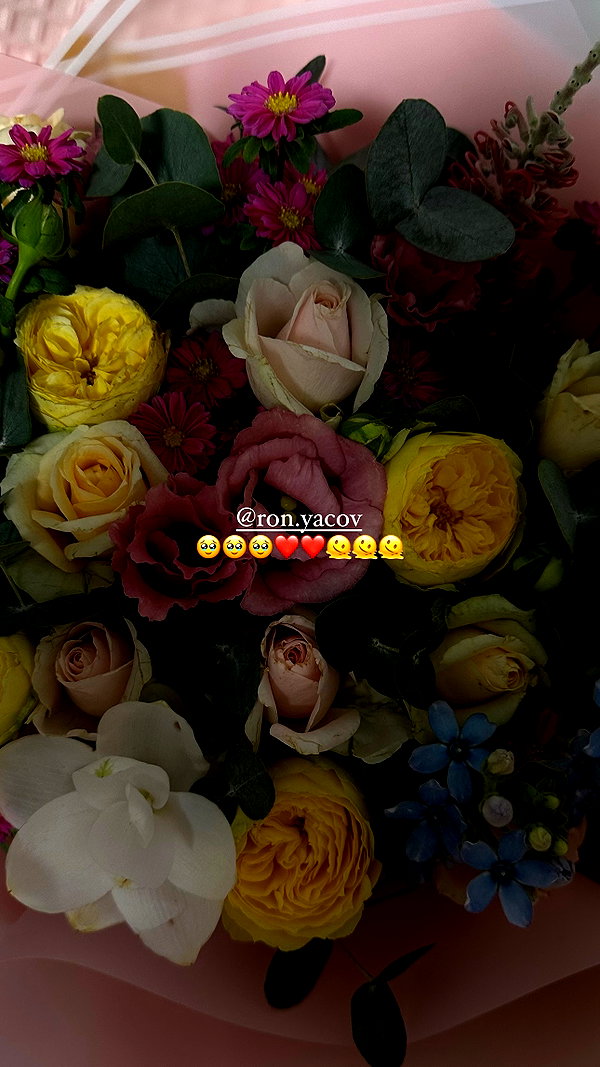 nikol.shishak instagram image archive image