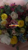 nikol.shishak Altpins Profile Picture