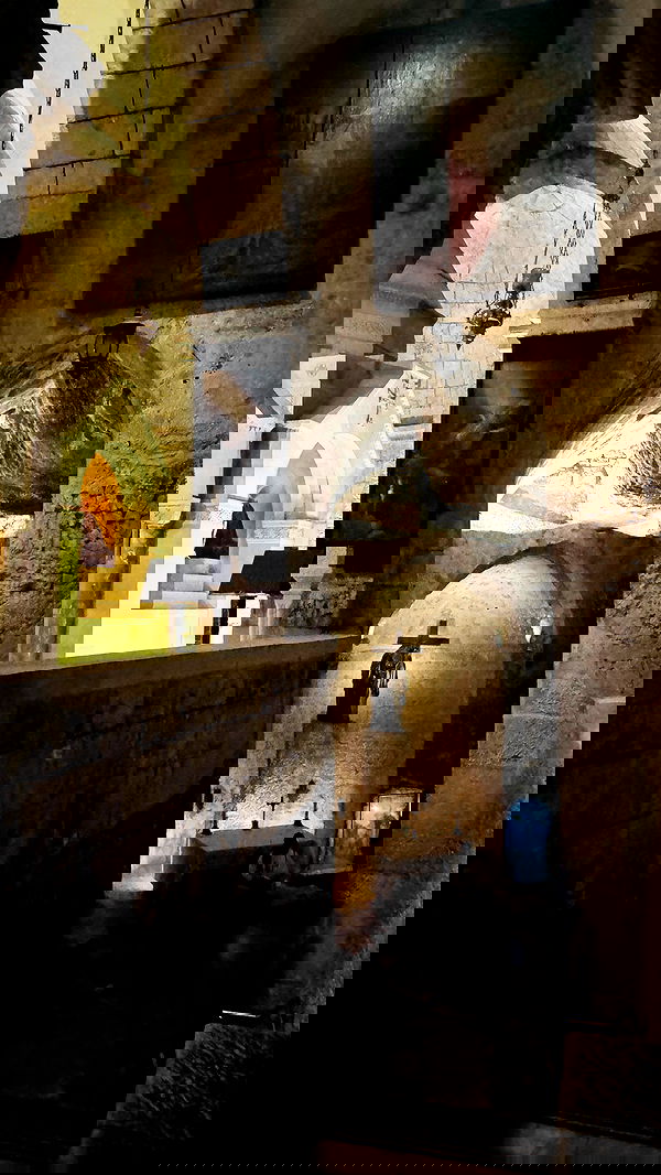 nikolll_._6 image ~ Altpins