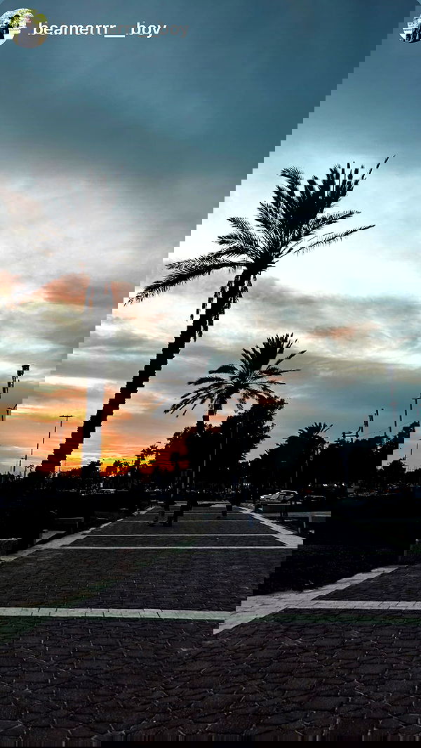 nikolll_._6 image ~ Altpins