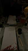 noa_mendel_ Altpins Profile Picture