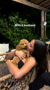 noa_mendel_ Altpins Profile Picture