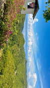 noa_mendel_ Altpins Profile Picture