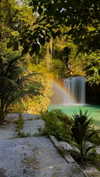 noa_mendel_ Altpins Profile Picture