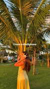 noa_mendel_ Altpins Profile Picture