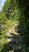 noa_mendel_ Altpins Profile Picture