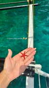 noa_mendel_ Altpins Profile Picture