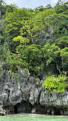 noa_mendel_ Altpins Profile Picture