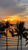 noa_mendel_ Altpins Profile Picture