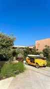 noa_mendel_ Altpins Profile Picture