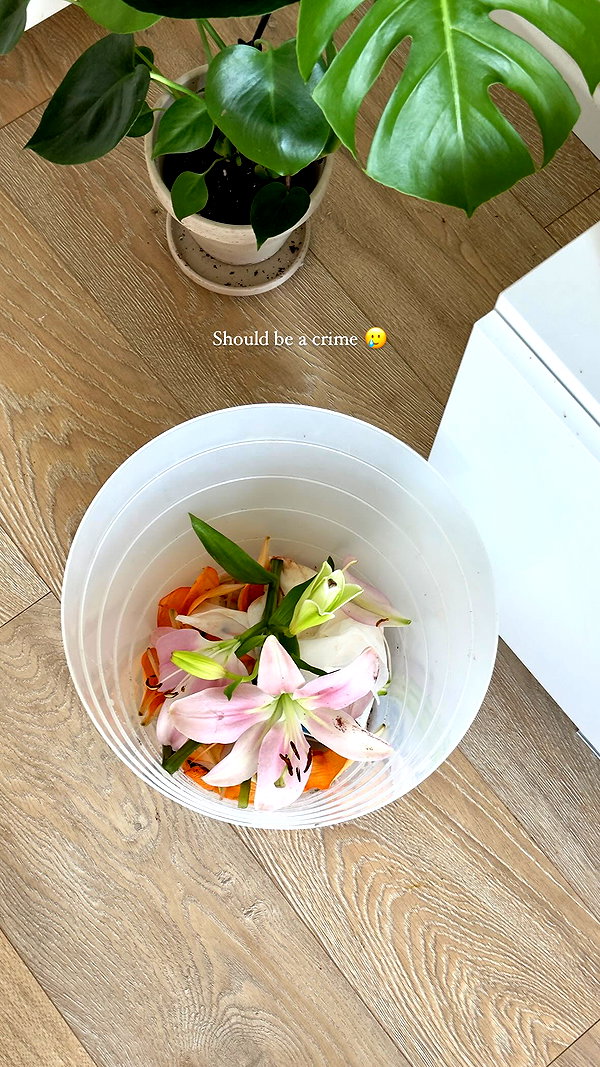 noa_mendel_ instagram image archive image