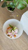 noa_mendel_ Altpins Profile Picture