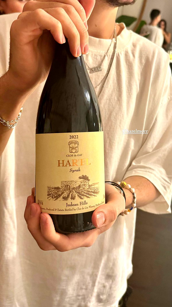 noa_mendel_ instagram image archive image