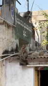 noa_mendel_ Altpins Profile Picture