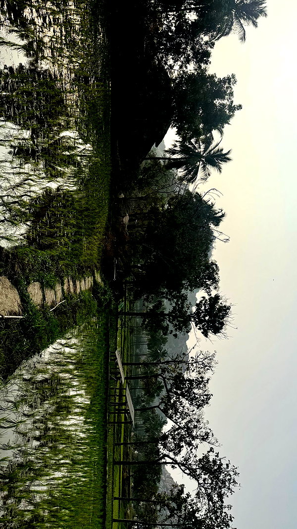 noa_mendel_ instagram image archive image