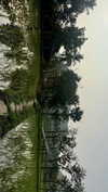 noa_mendel_ Altpins Profile Picture