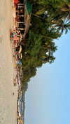 noa_mendel_ Altpins Profile Picture