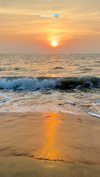 noa_mendel_ Altpins Profile Picture