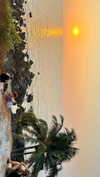noa_mendel_ Altpins Profile Picture