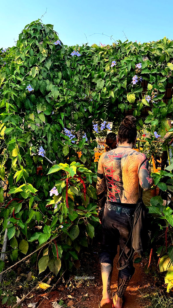 noa_mendel_ instagram image archive image
