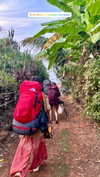 noa_mendel_ Altpins Profile Picture