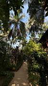 noa_mendel_ Altpins Profile Picture