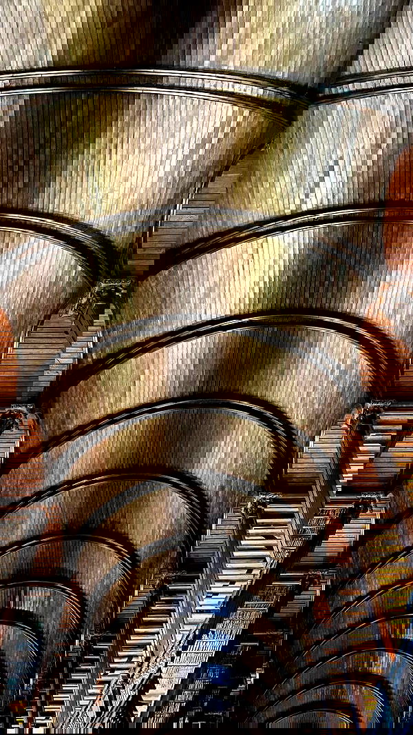 noa_zemlyanski noa_zemlyanski archive image