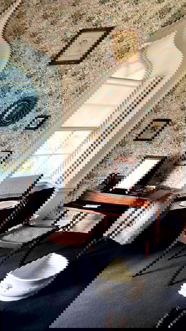 noa_zemlyanski noa_zemlyanski archive image