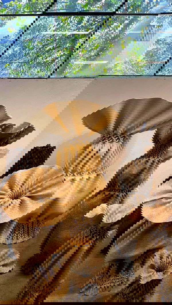 noa_zemlyanski noa_zemlyanski archive image