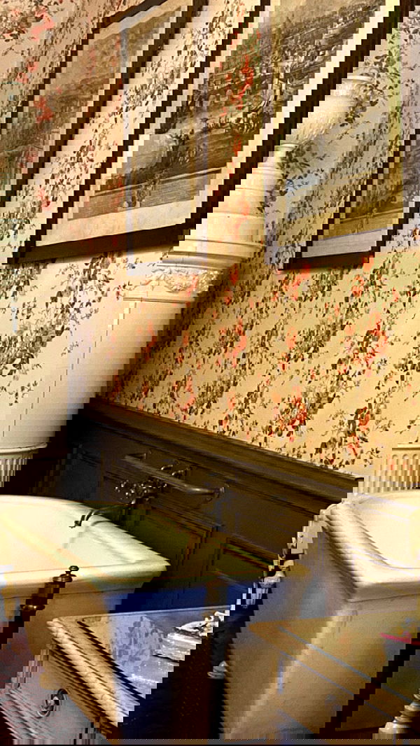 noa_zemlyanski noa_zemlyanski archive image