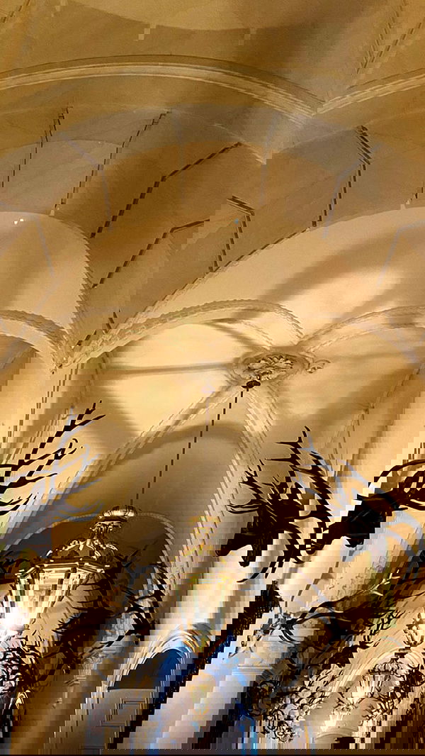 noa_zemlyanski noa_zemlyanski archive image