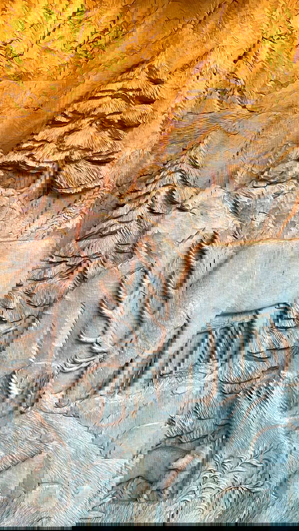 noa_zemlyanski noa_zemlyanski archive image