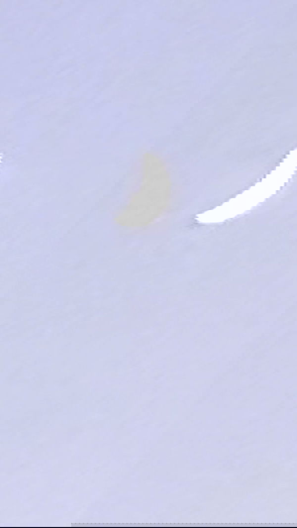 noa_zemlyanski noa_zemlyanski archive image