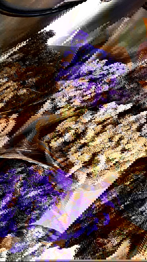 noa_zemlyanski noa_zemlyanski archive image