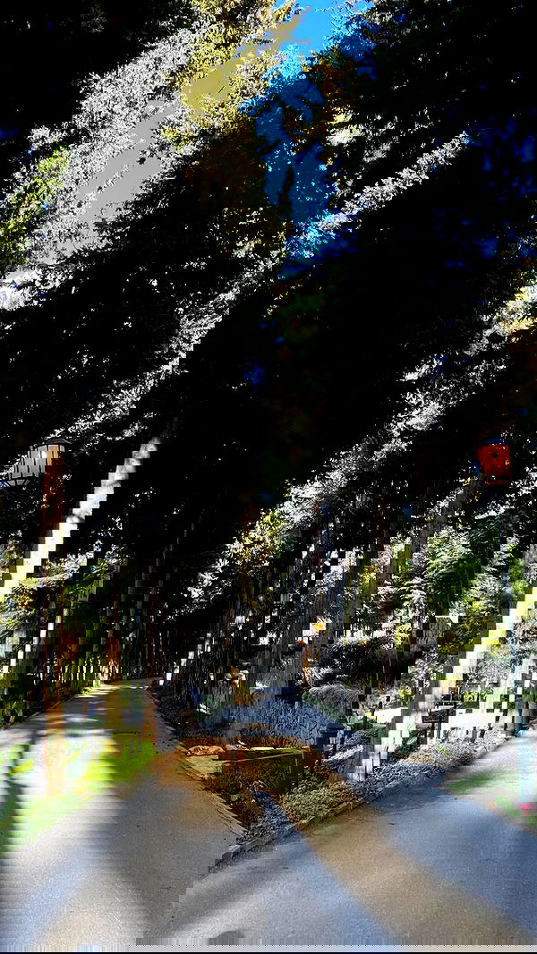 noa_zemlyanski noa_zemlyanski archive image