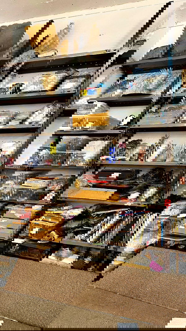 noa_zemlyanski noa_zemlyanski archive image