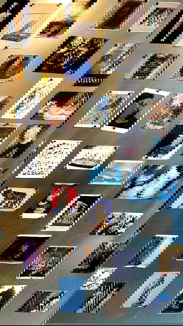 noa_zemlyanski noa_zemlyanski archive image