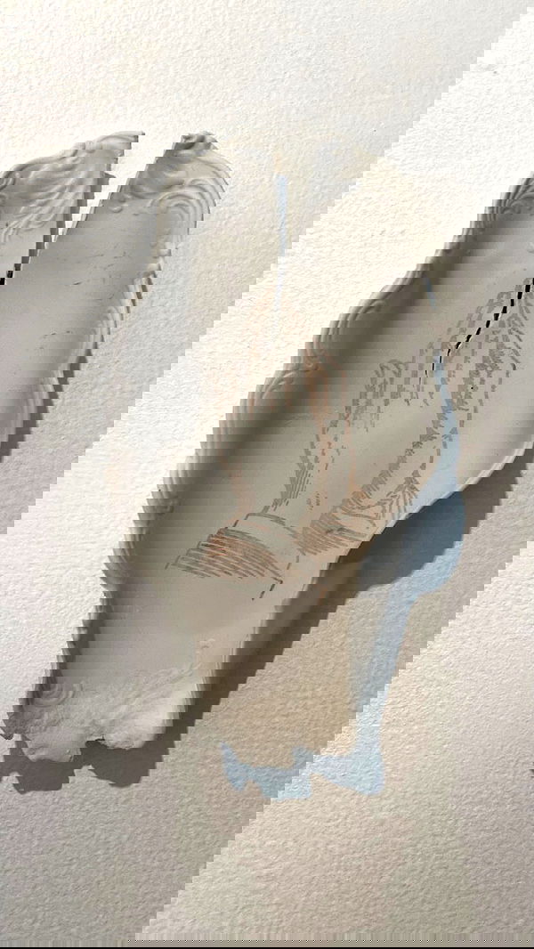 noa_zemlyanski noa_zemlyanski archive image