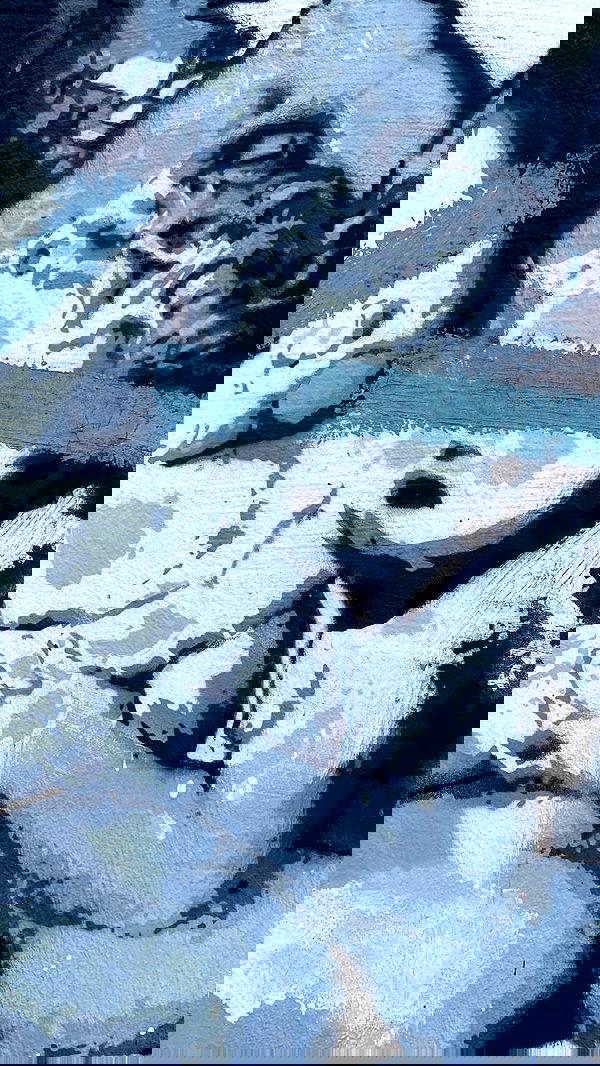 noa_zemlyanski noa_zemlyanski archive image