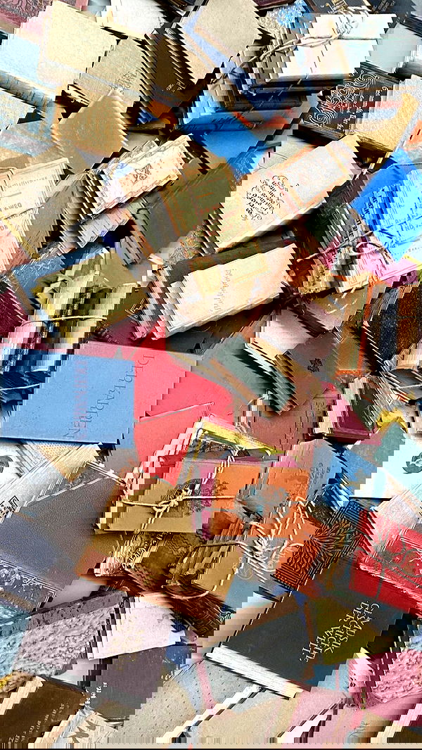 noa_zemlyanski noa_zemlyanski archive image