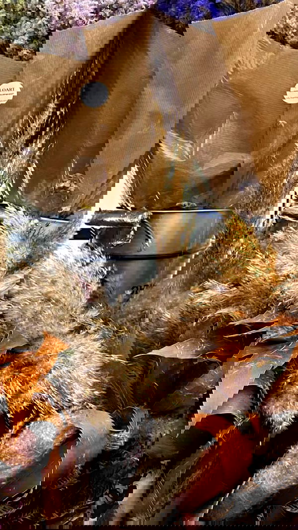 noa_zemlyanski noa_zemlyanski archive image