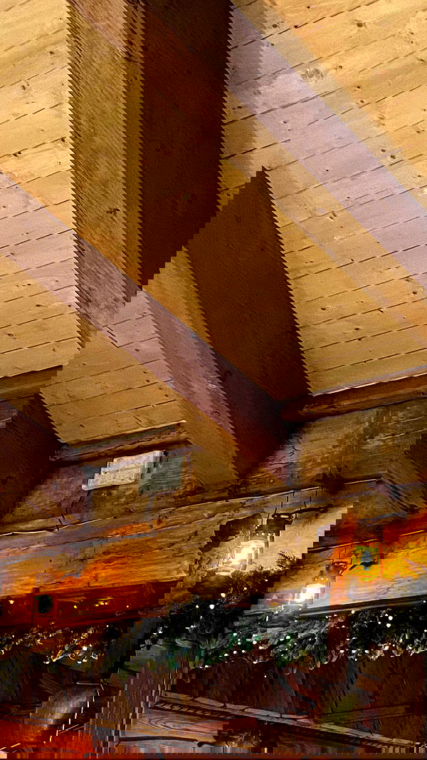 noa_zemlyanski noa_zemlyanski archive image